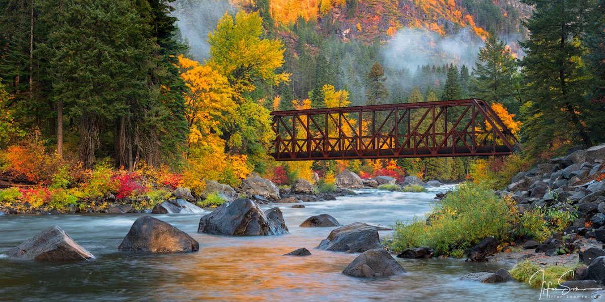 Rustic Bridge.jpg