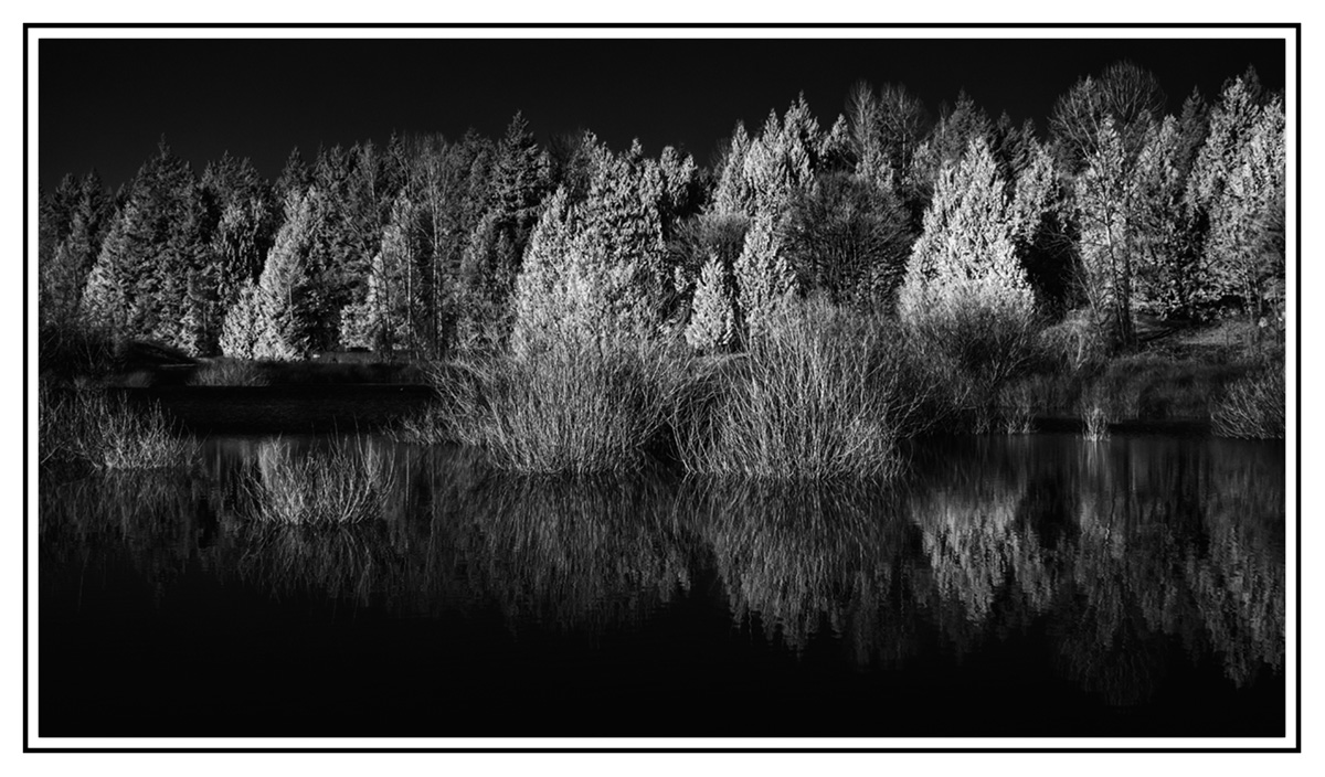 RX_2968bw.jpg