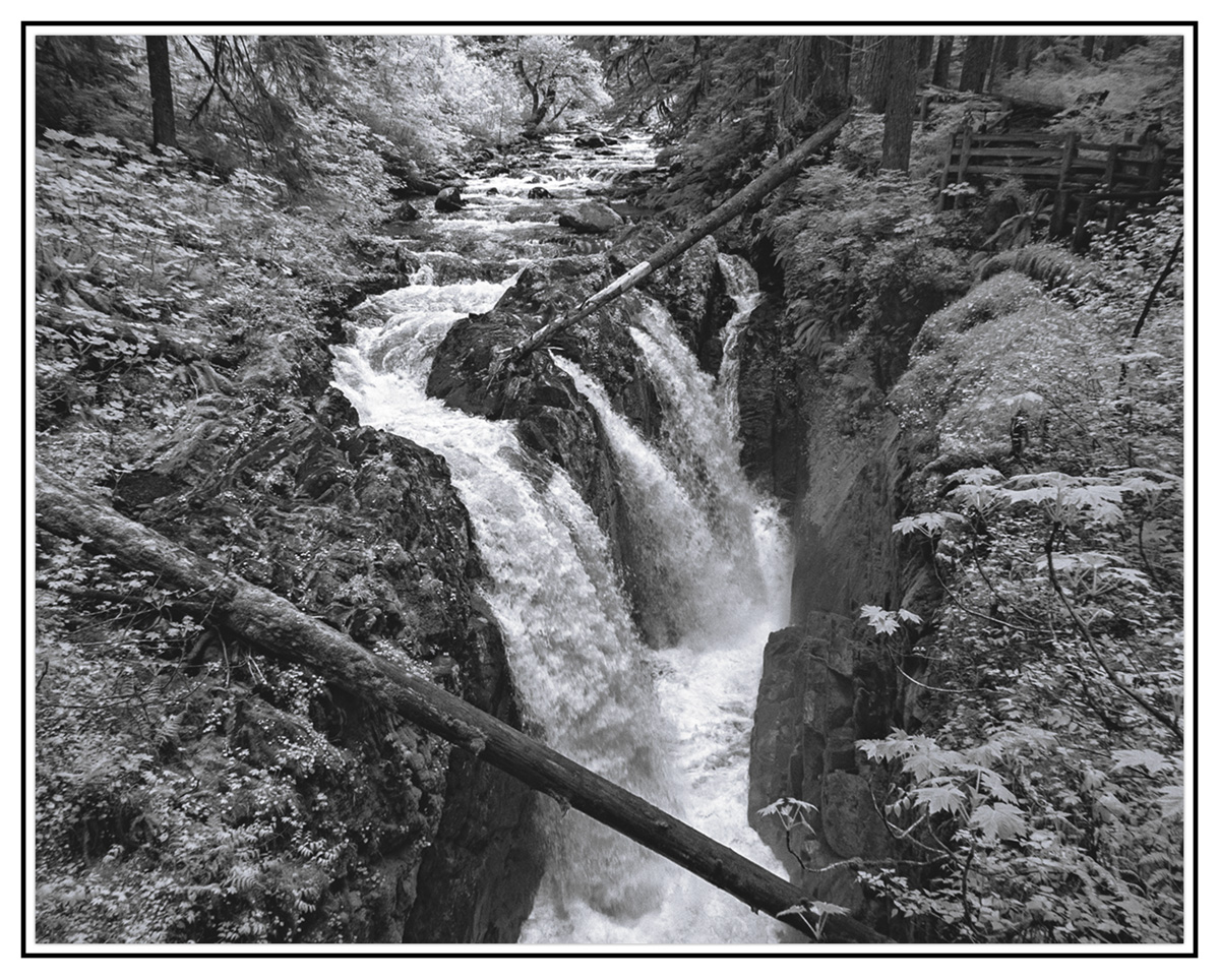 RX_3233bw.jpg