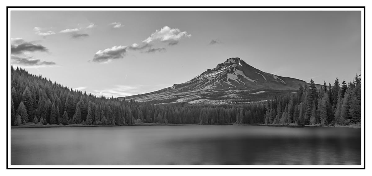 RX_3292bw.jpg