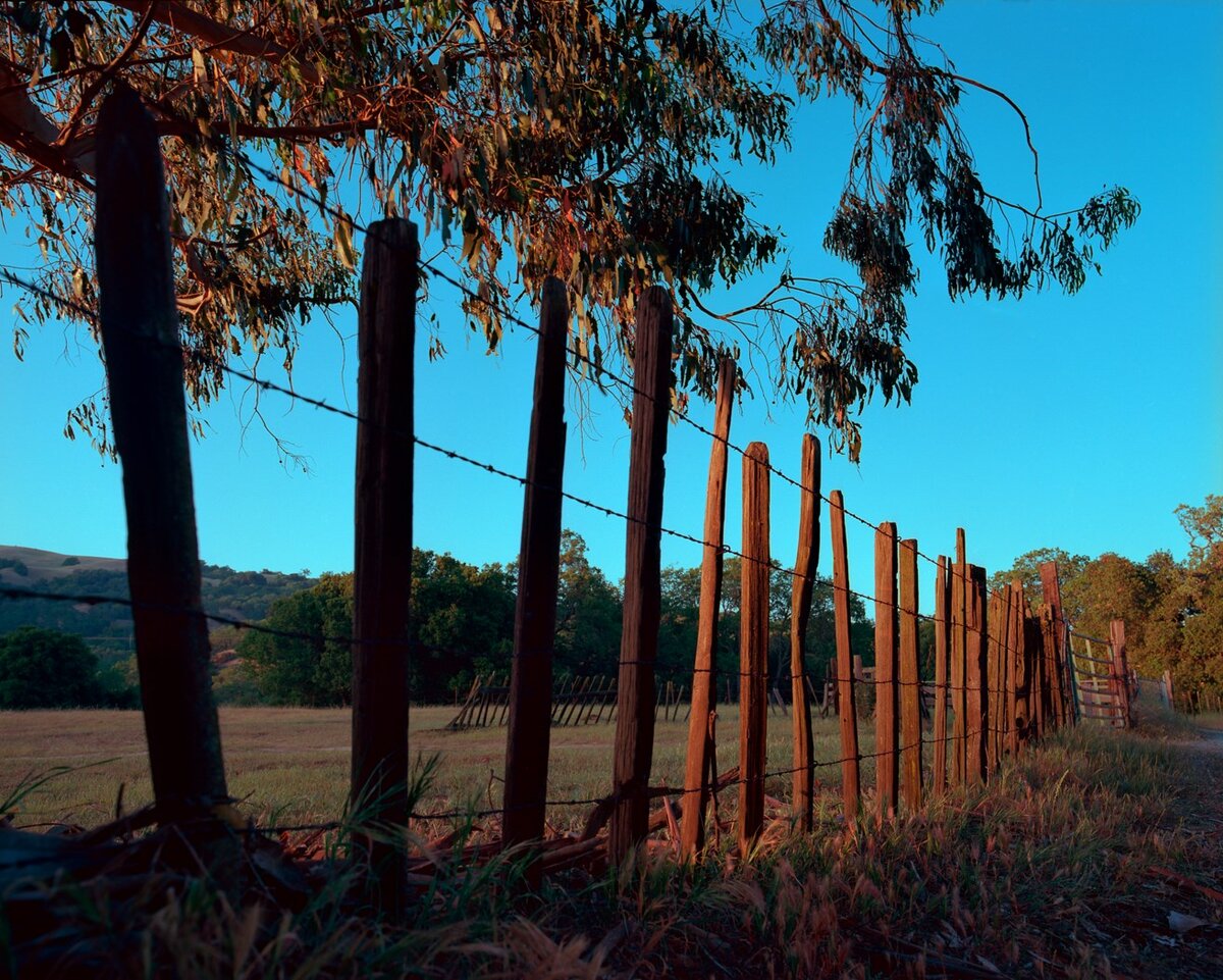 RZ67vs_00035_130523_p1W.jpg