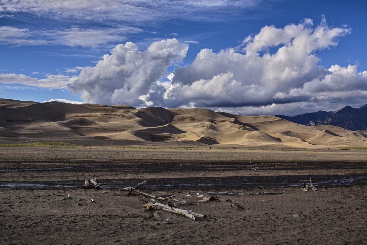 sanddunes.jpg