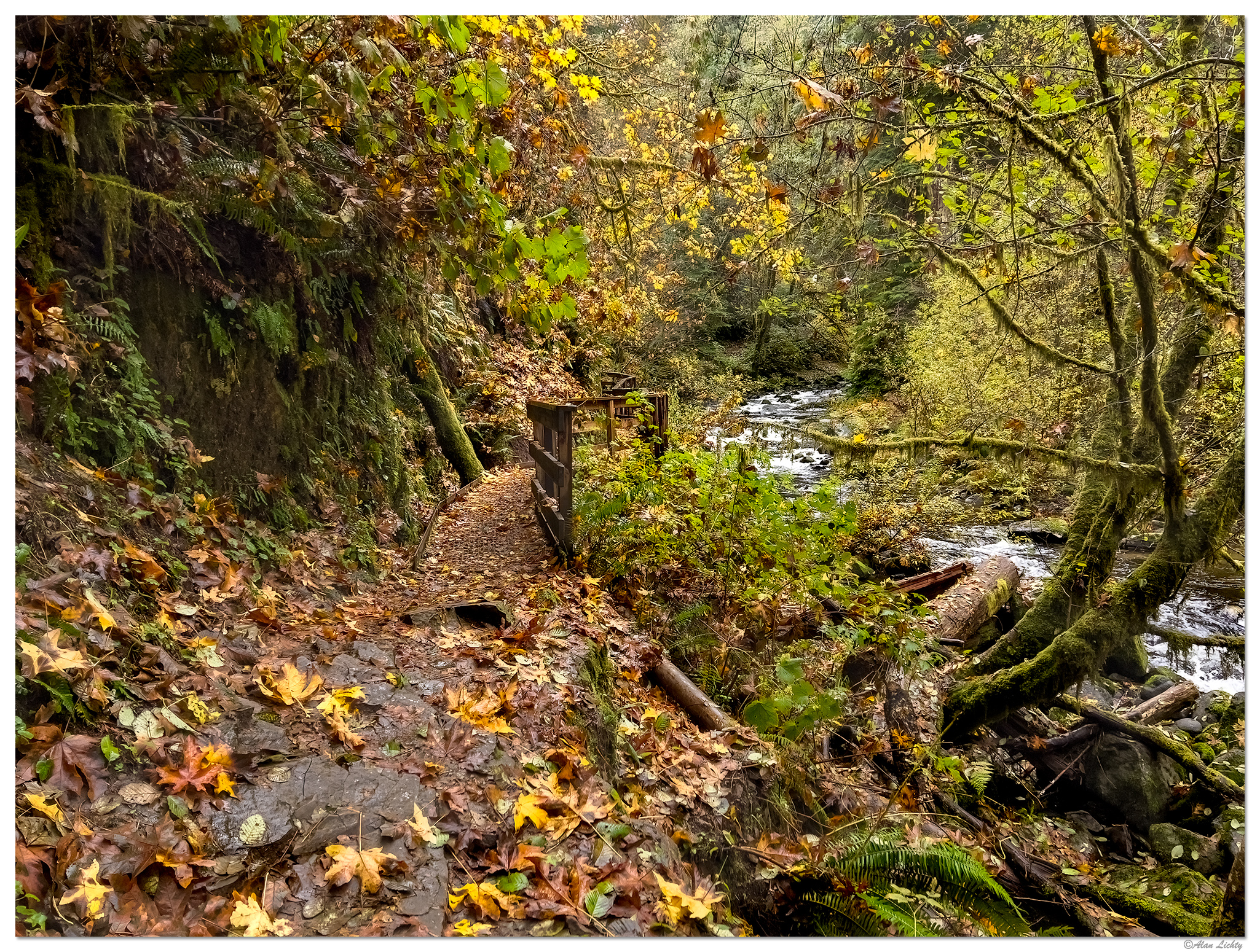 SC-CatwalkTrail110221.jpg