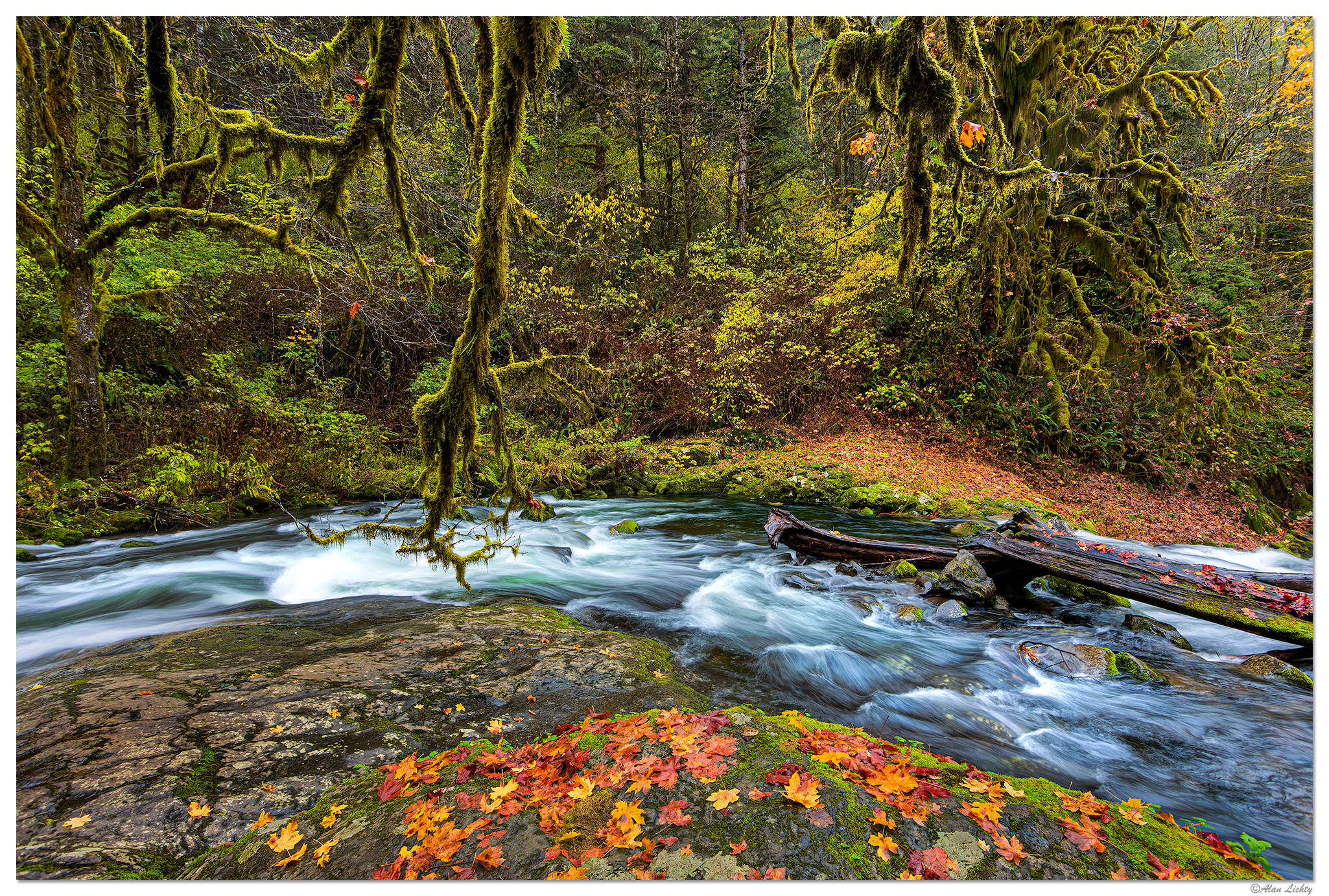 SC-FirstFalls110823.jpg