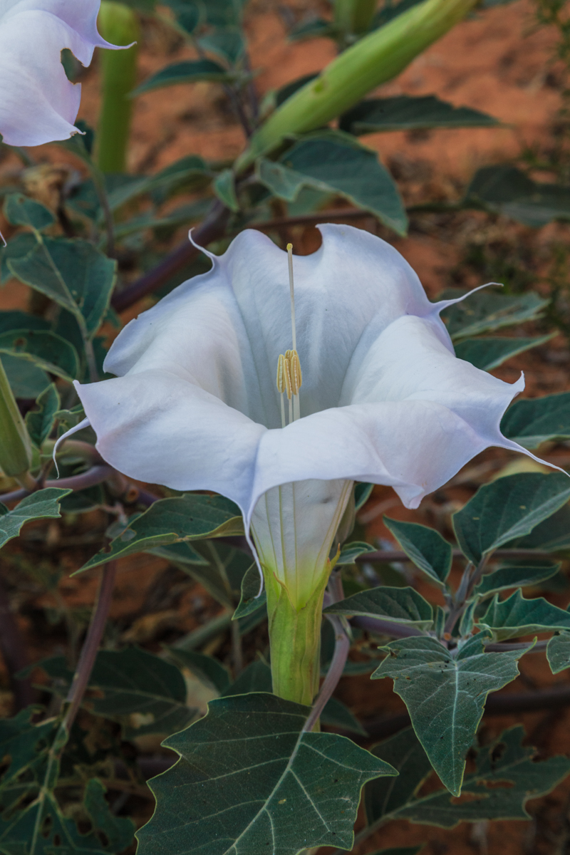 SC7A3414-Edit.jpg