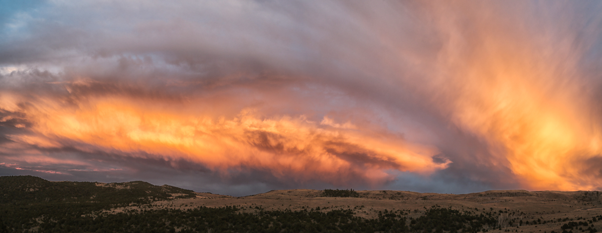 SC7A5675-Pano-Edit-Edit.jpg