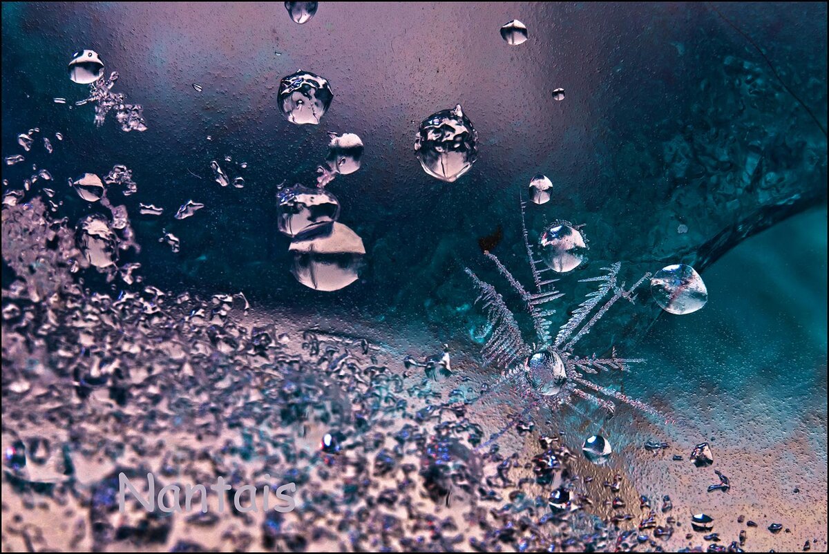 scorpionfish_sm.jpg