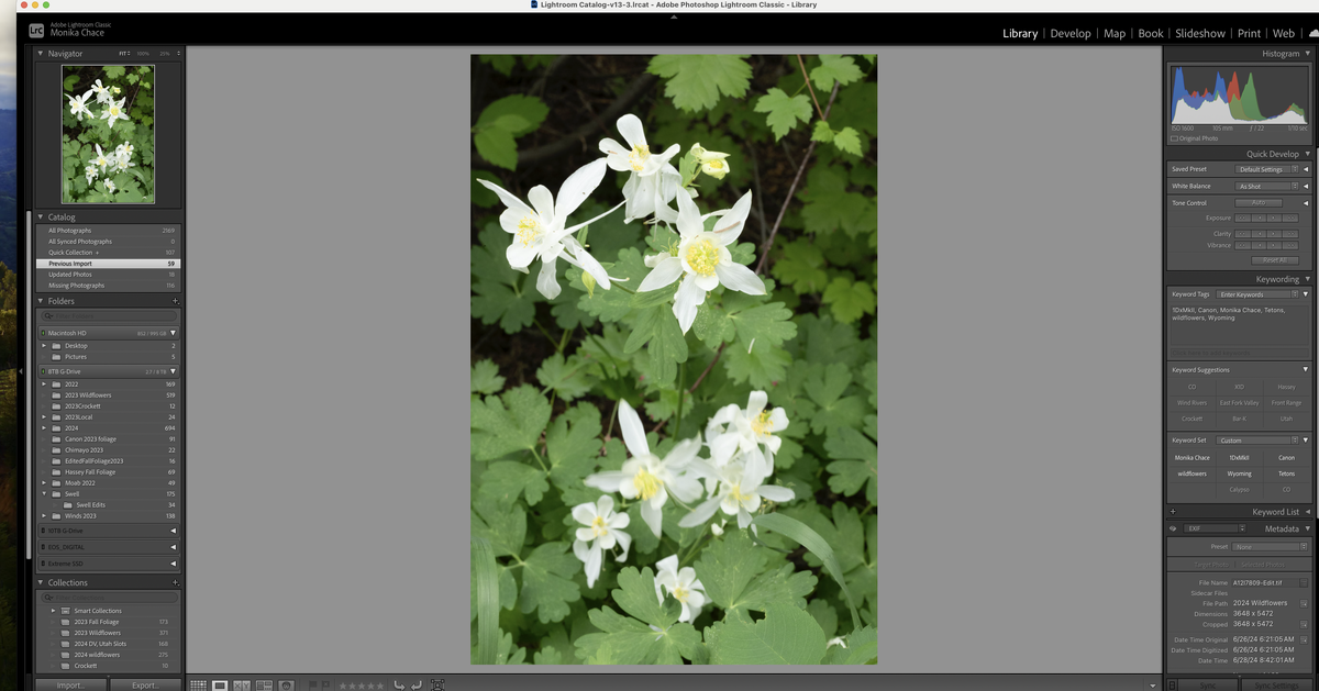 Screenshot 2024-07-03 at 5.02.31 PM.png