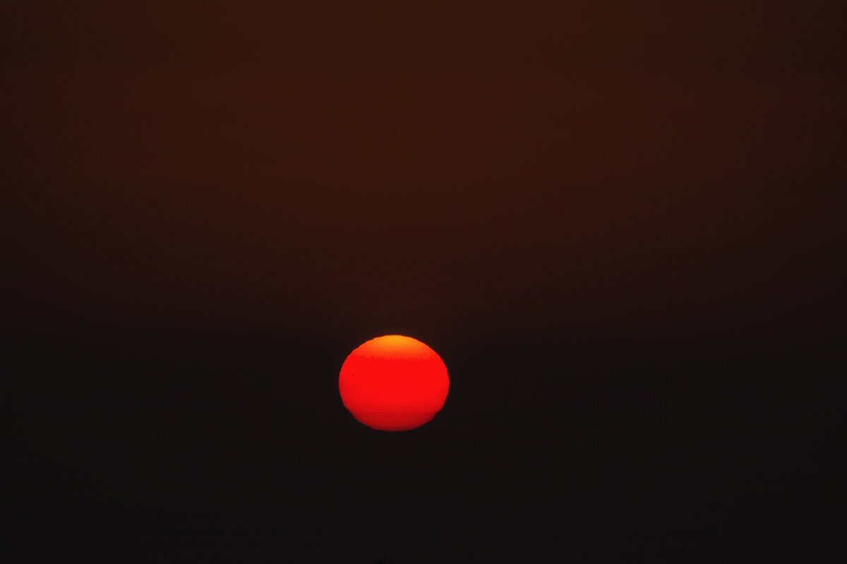 SDIM2248.jpg