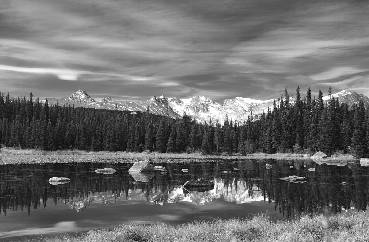 SDIM4247bw.jpg