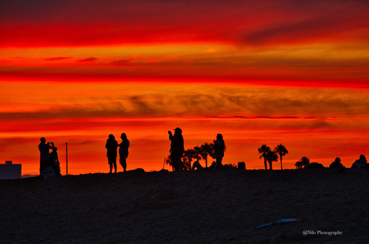 Seal Beach 2.jpg