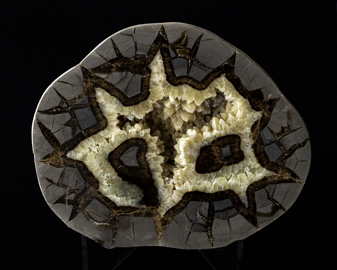 Septarian Concreation.jpg