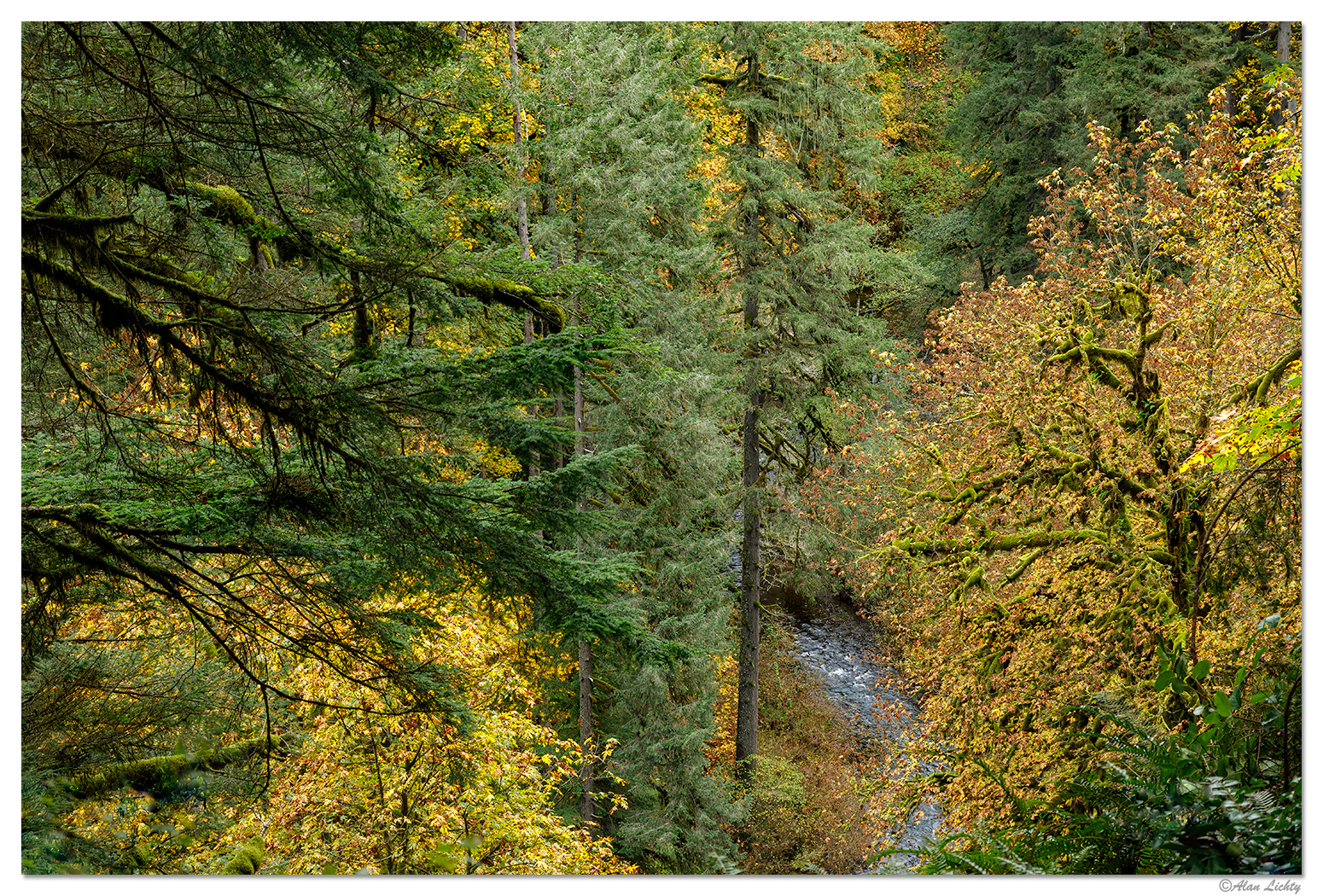 SFSP-NRimTrail3.jpg