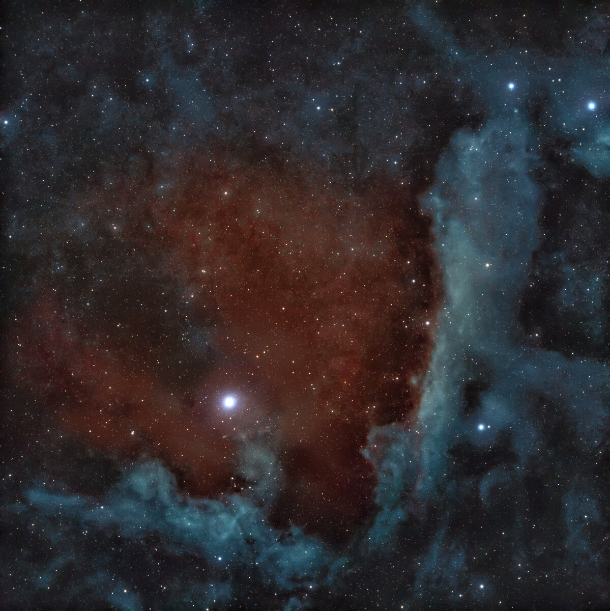 Sh2-1 combined 2_2700x2700.jpg