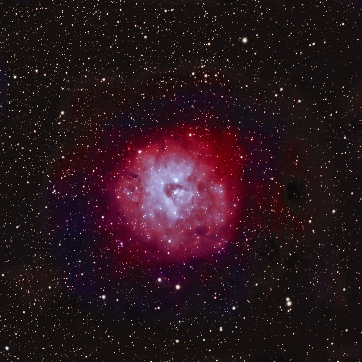SH2 170 Little Rosette Nebula BiColor.jpg