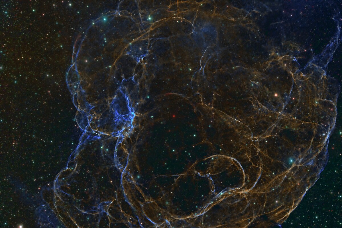 SH2_240_Rep_2.jpg