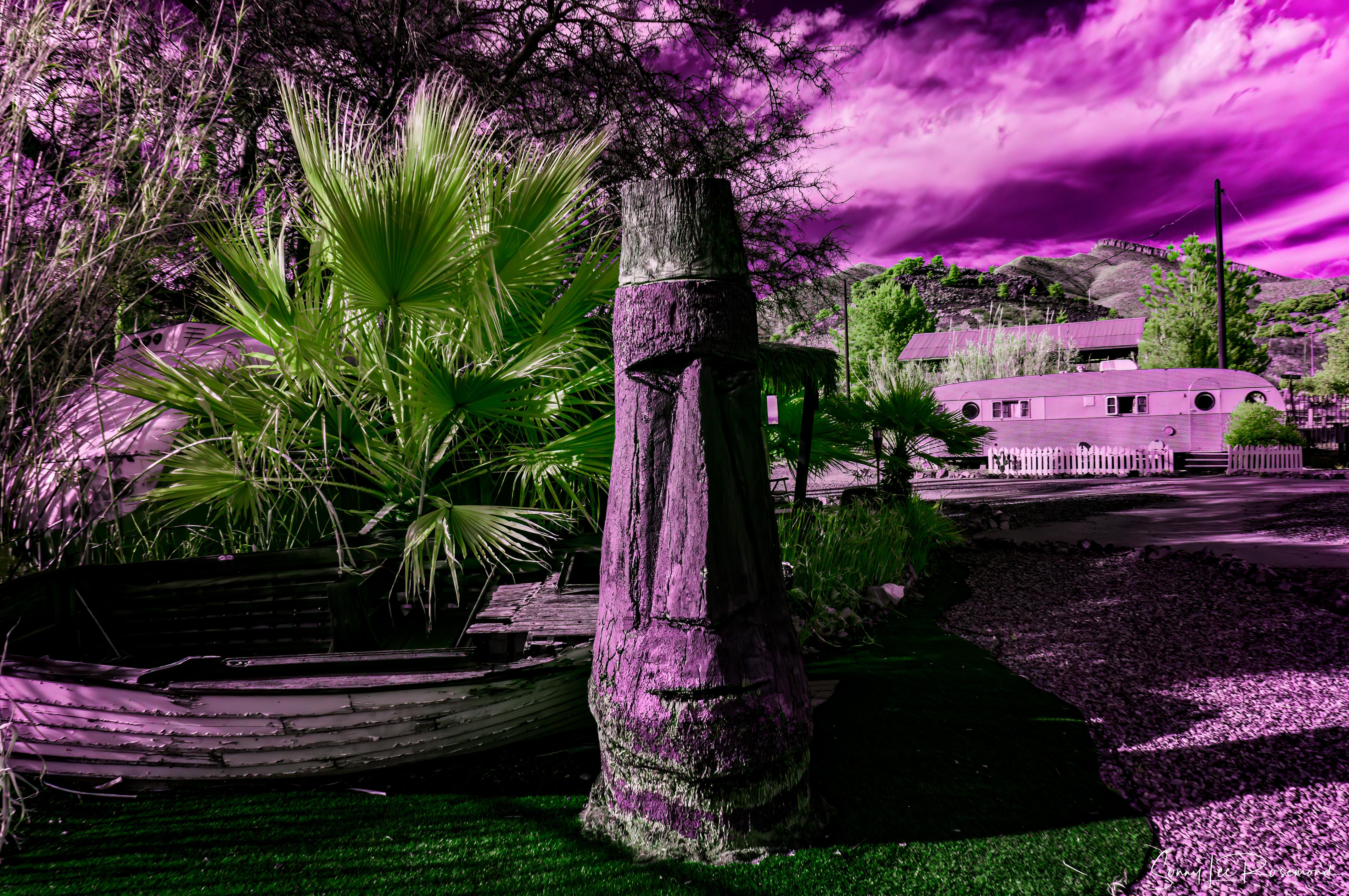 shady_dell_032023-1-1.jpg