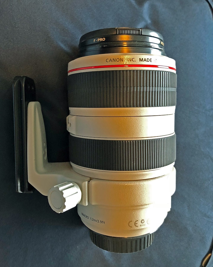 Side View FM.jpg