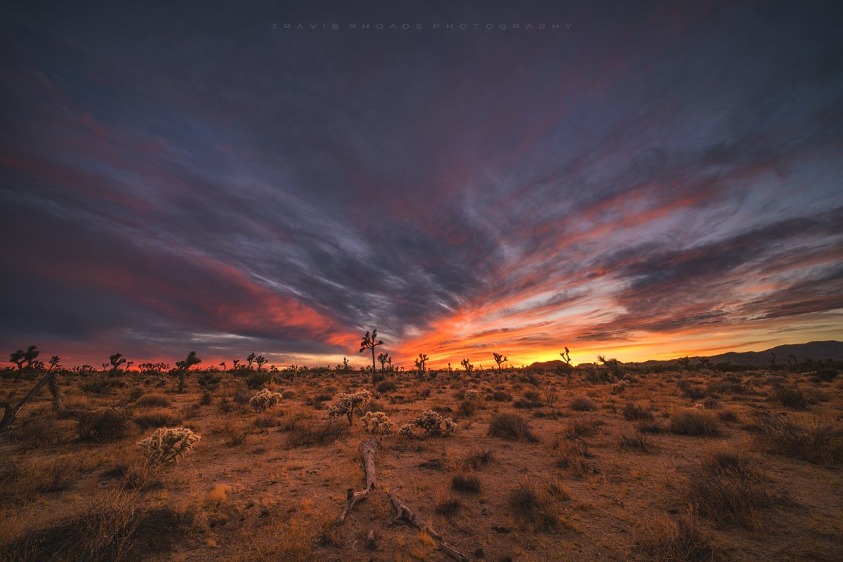 SkyfireOverTheDesert-FB.jpg