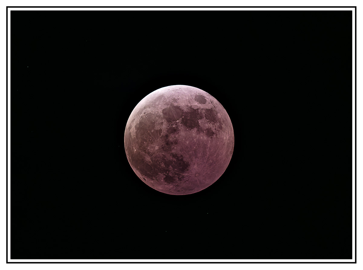 SL3_5835.jpg