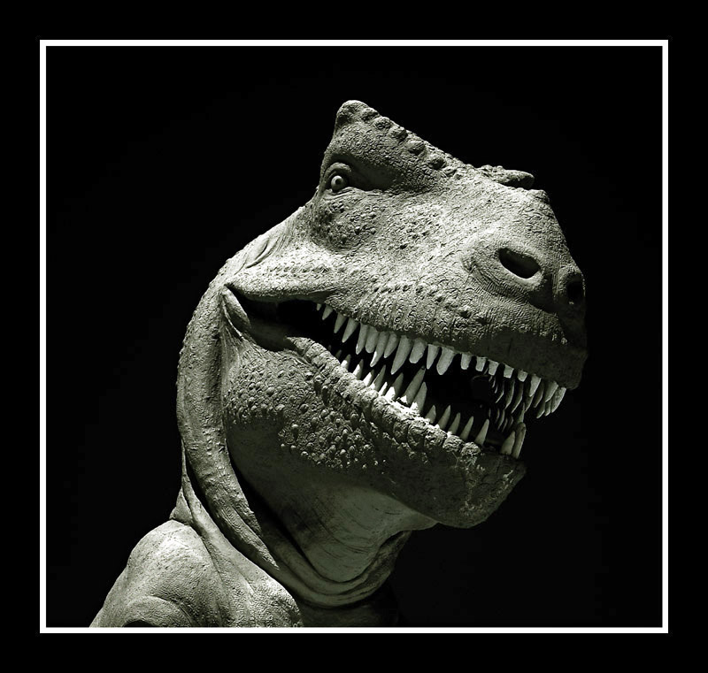 Smile.GlenRose..jpg