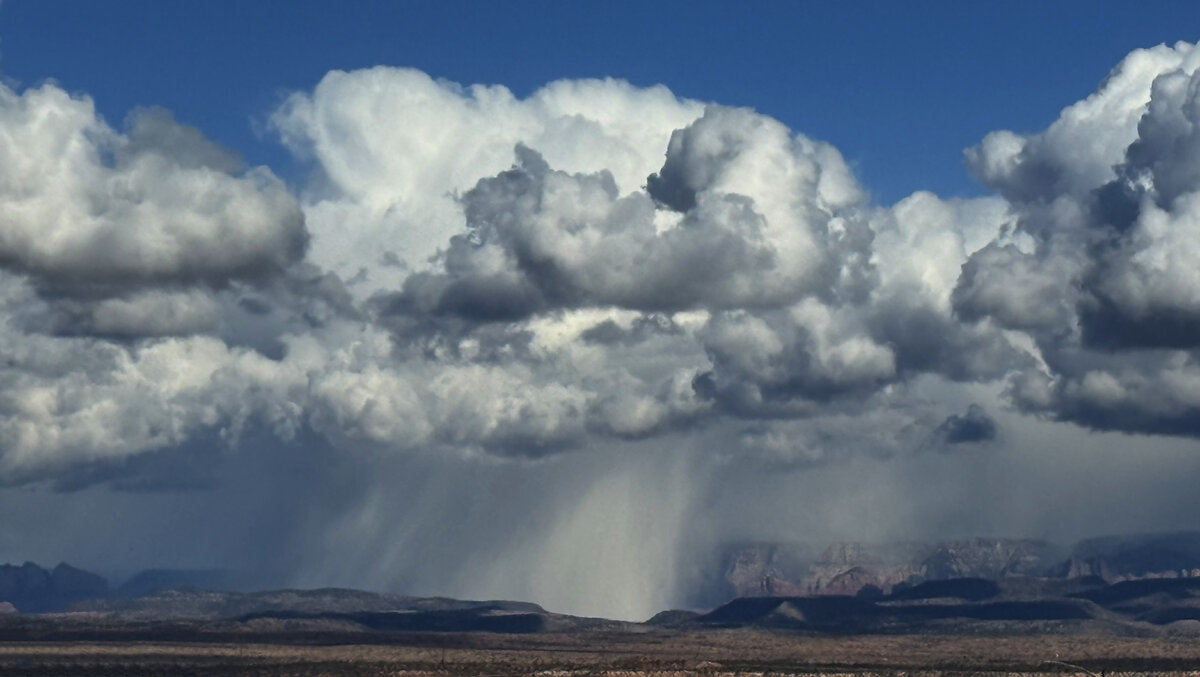 snow squall.jpg