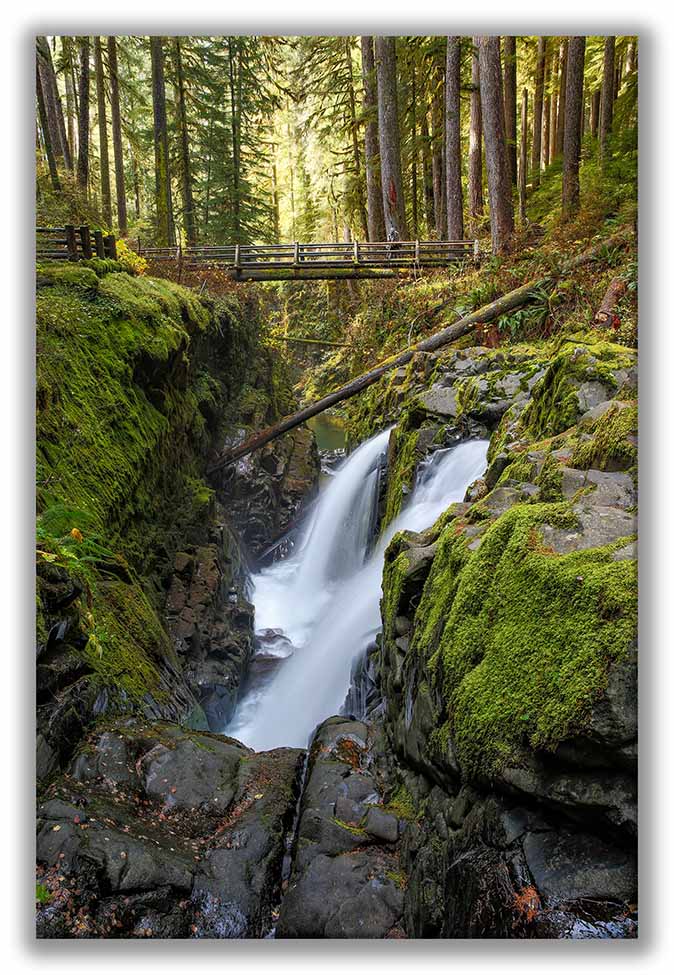 Sol Duc Creek Falls Leading in 239 Display.jpg