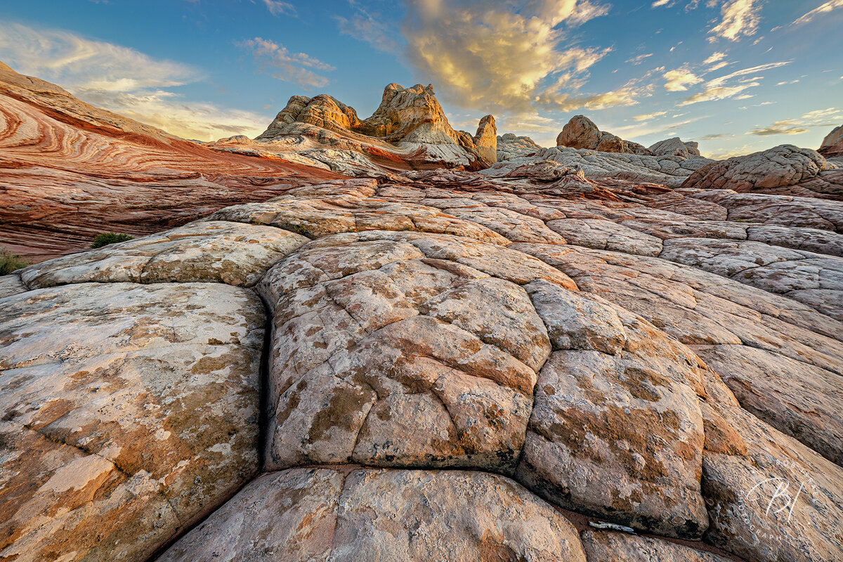 Southwest 081123-369-Edit-Edit.jpg