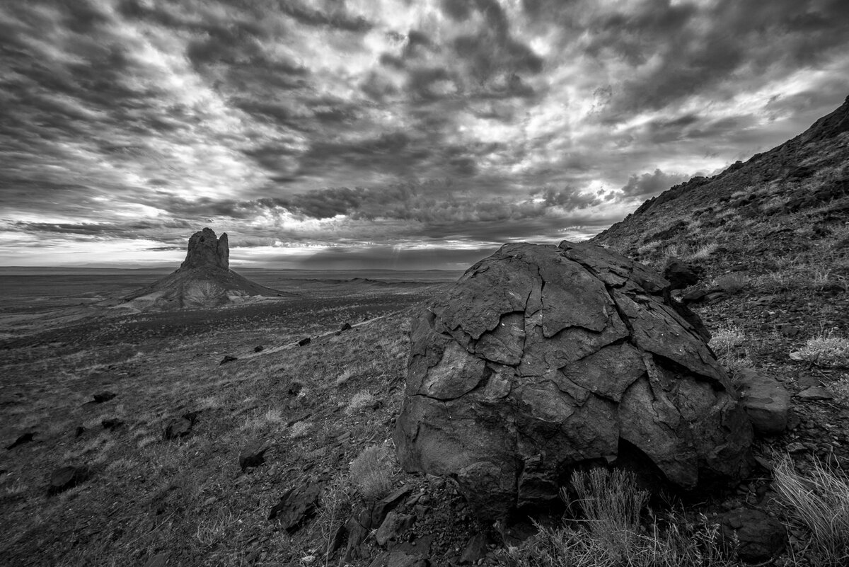 Southwest 081223-40.jpg