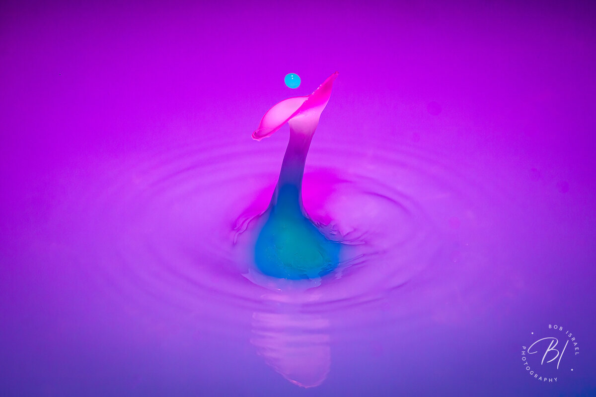splash 011723-125-Edit-Edit.jpg