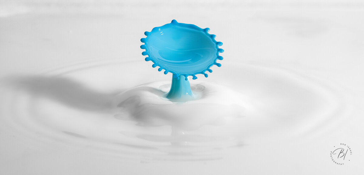 Splash 122322-52-Edit-Edit.jpg