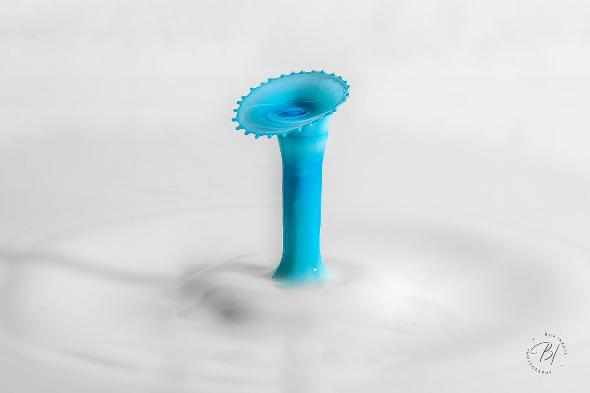 Splash 122322-54-Edit-Edit.jpg