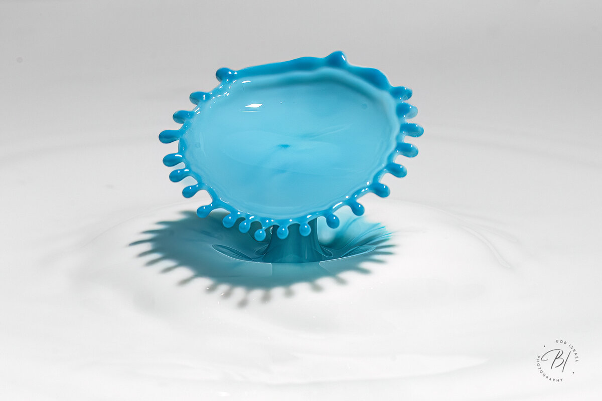 Splash 122322-65-Edit-Edit.jpg