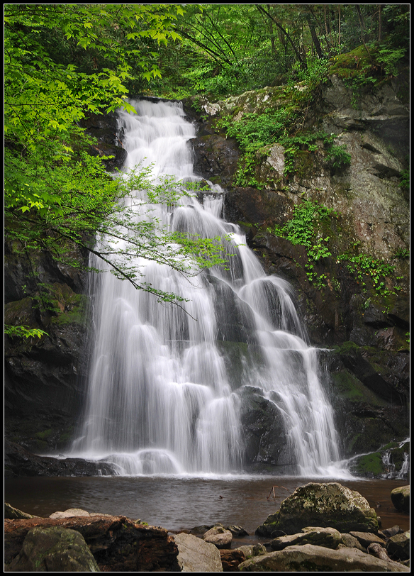 Spruce Flat Falls.jpg