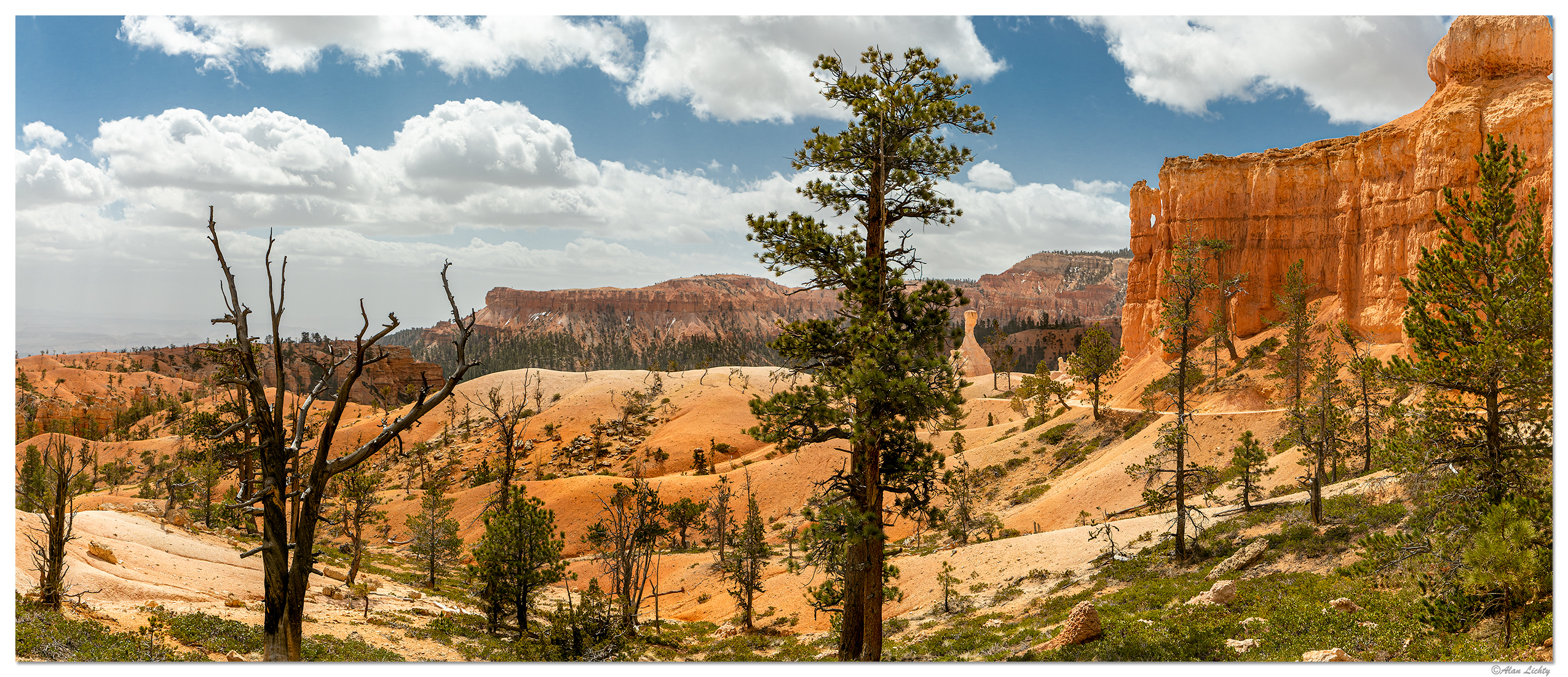 SS-Bryce-QueensGardenTrailPano1.jpg