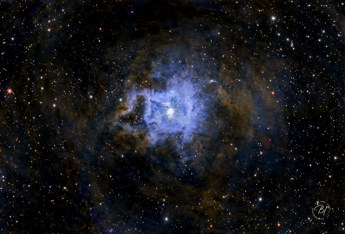 StarReduced2-Edit_1200x813_U_100_borderless WM-2.jpg