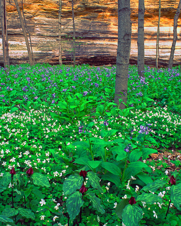 Starved Rock II.jpg