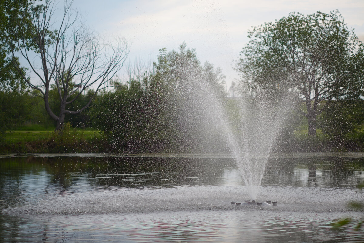 Stony Park.jpg