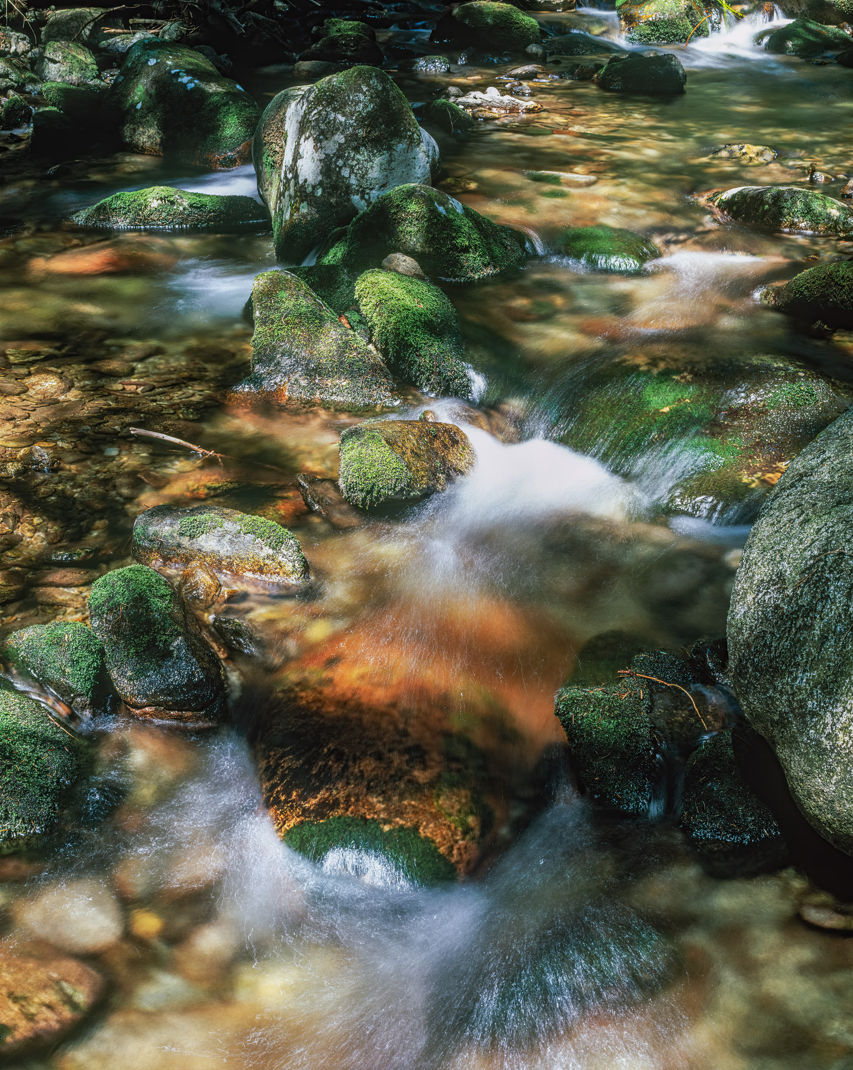 Stream full of colors, High Tatras.jpg