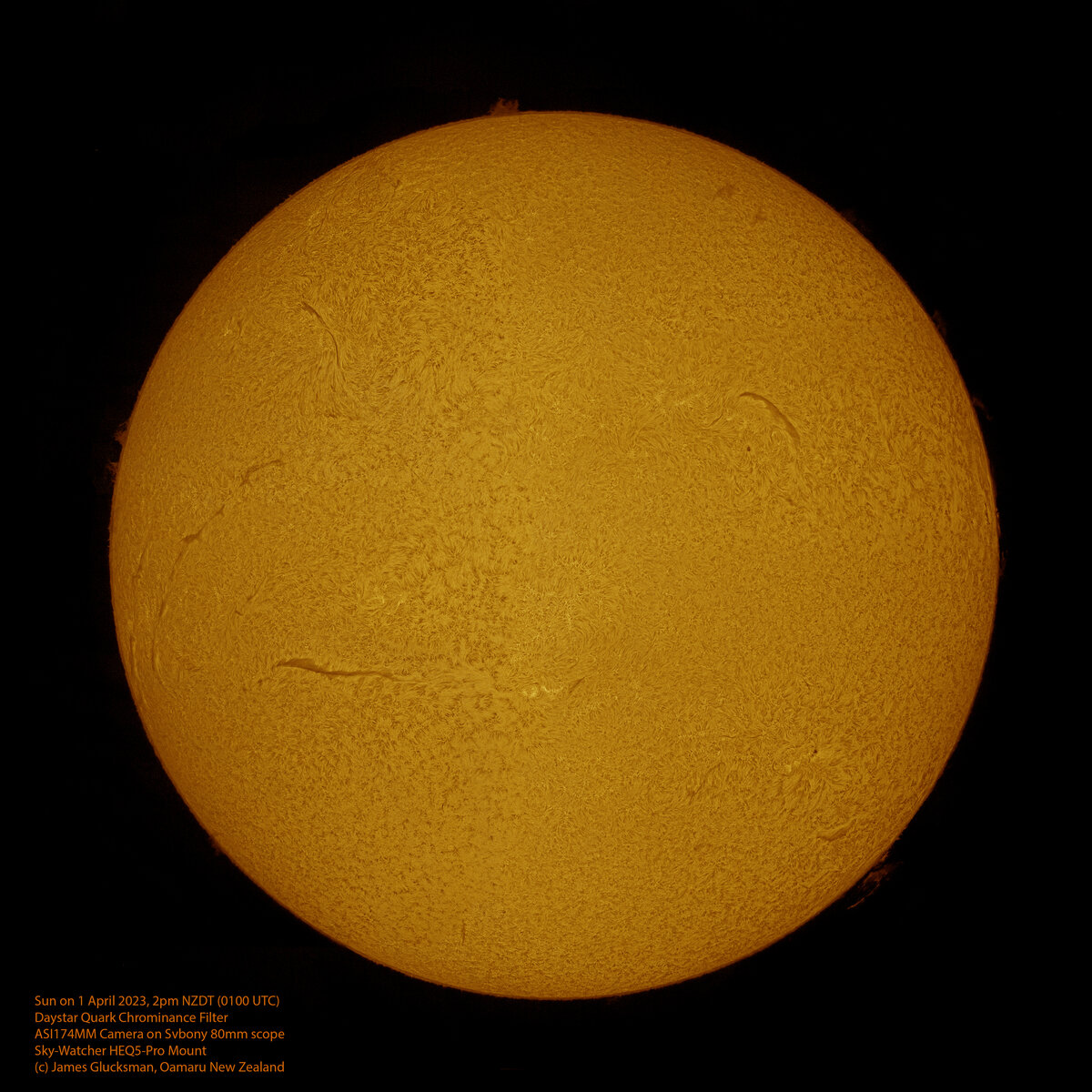 Sun 01-Apr-2023 Sharp copy.jpg