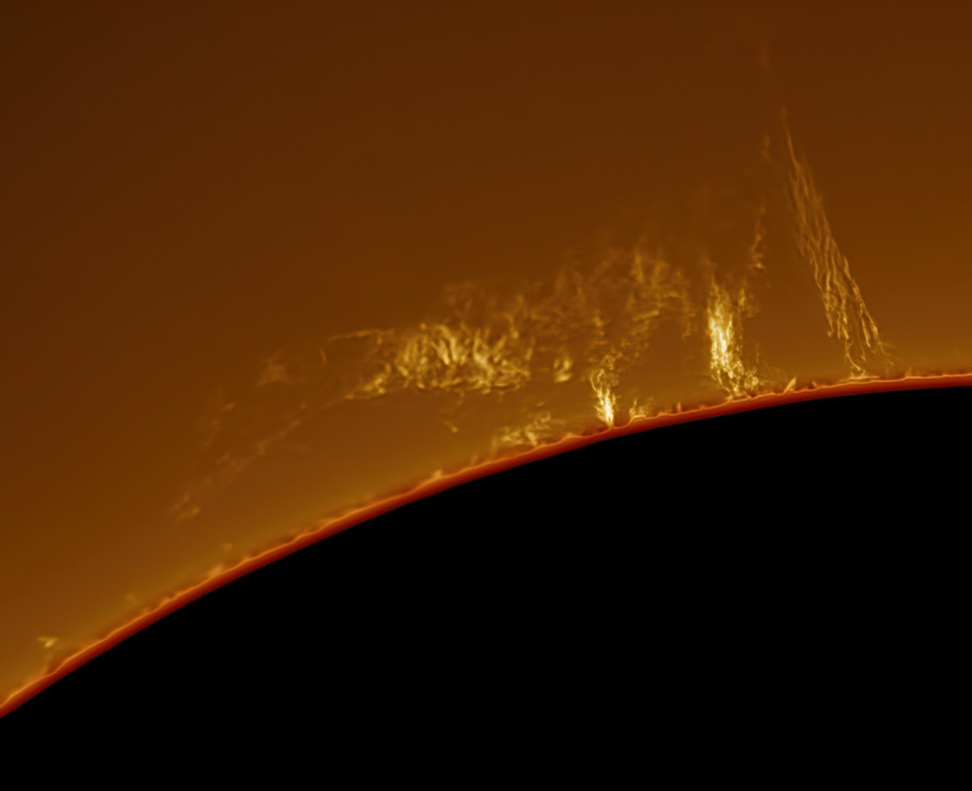SUN57210009-5_241regps-gi.jpg