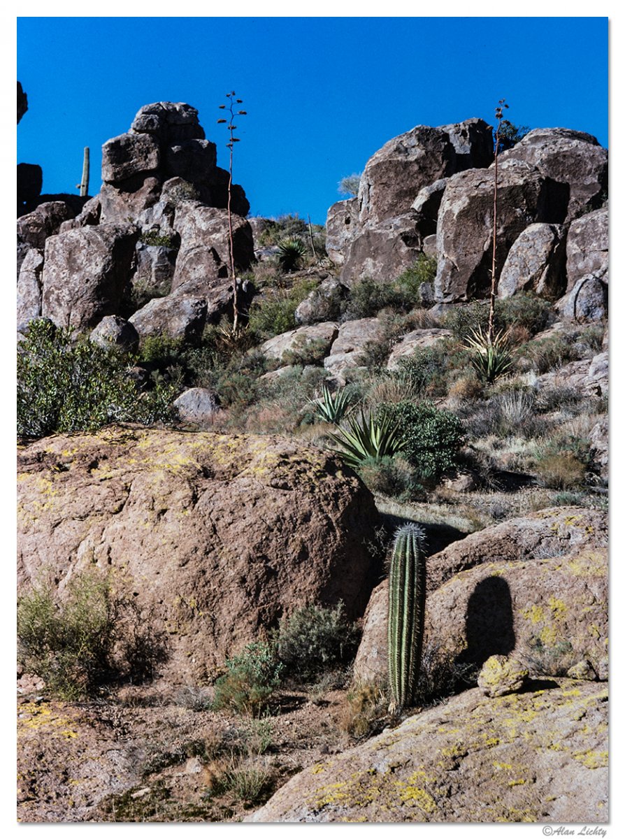 Superstitions1.jpg