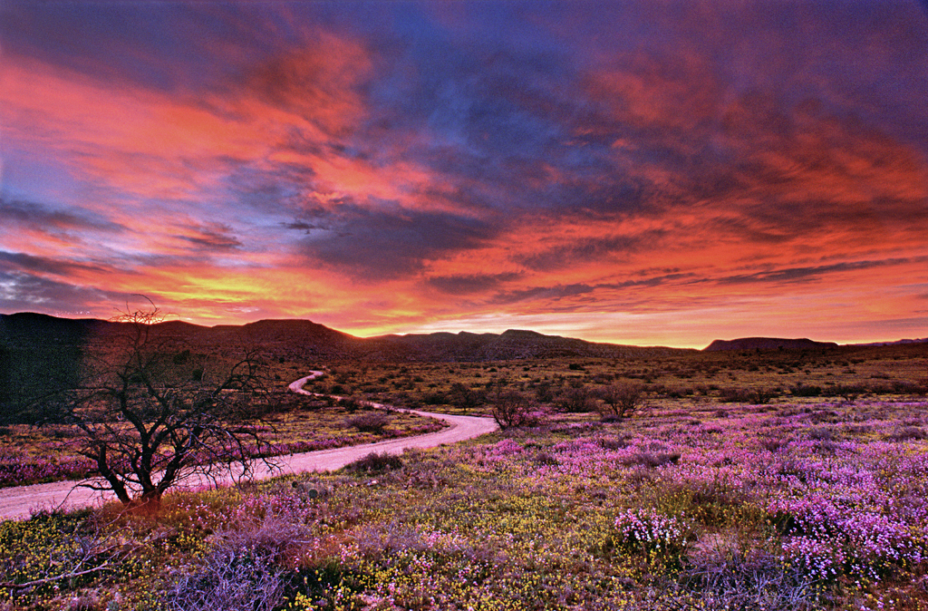 Sw Images 040.jpg