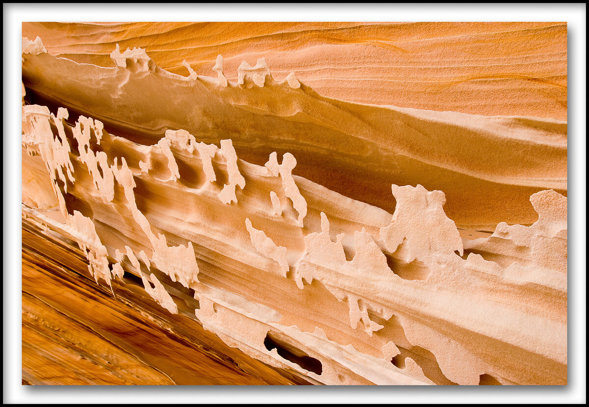SW Slideshow-133.jpg