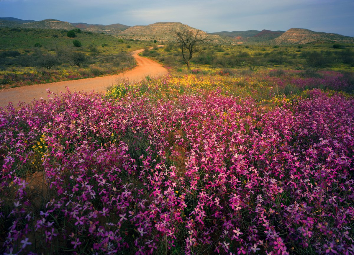 Sycamore Canyon RD, Clarkdale, Az.jpg