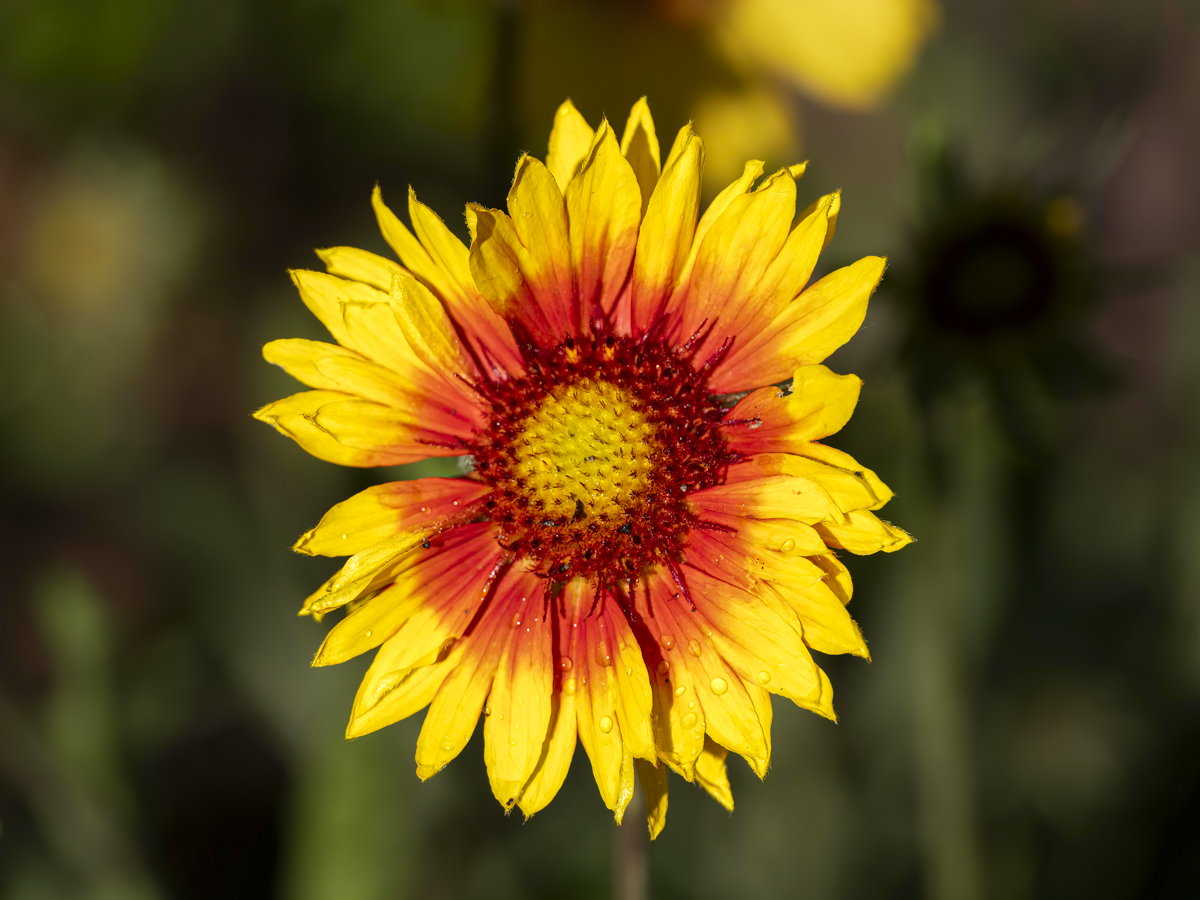 T1010005-Edit.jpg