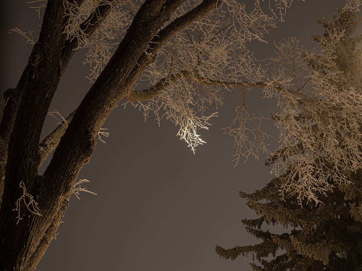 T1011924-Enhanced-NR.jpg
