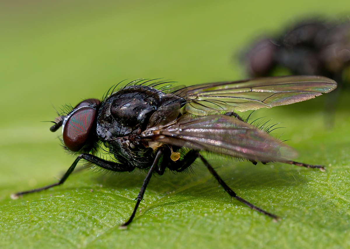 T6171015-Edit.jpg