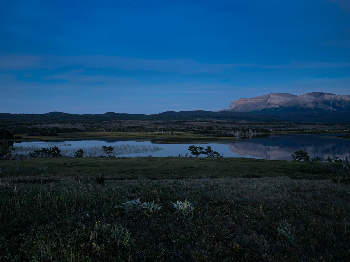 T7231532-Edit.jpg