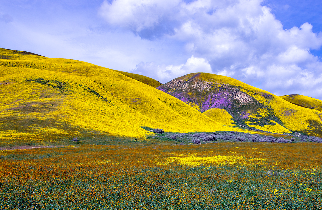 Temblor Range, Carrizo Plain National Monument.jpg